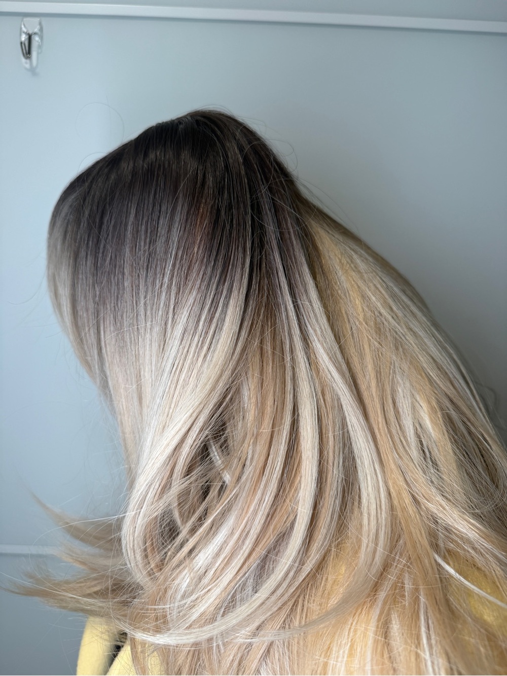 Balayage Blonde Wig NWOT